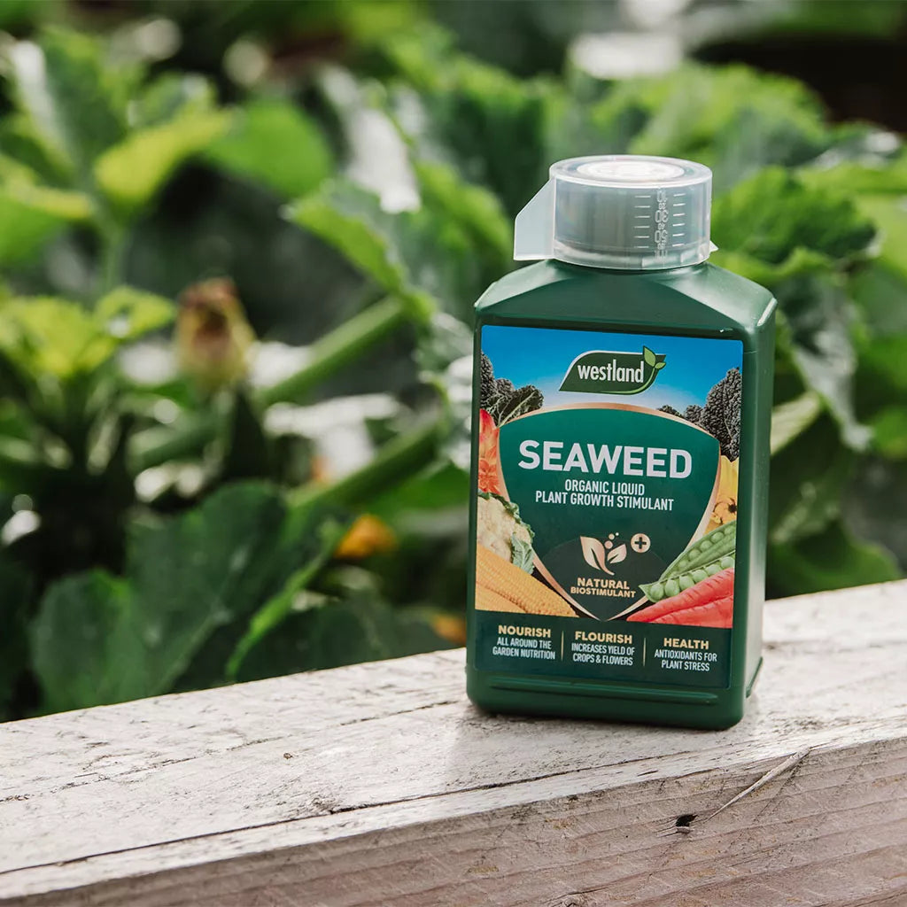 Westland Organic Seaweed Liquid Plant Food 1L