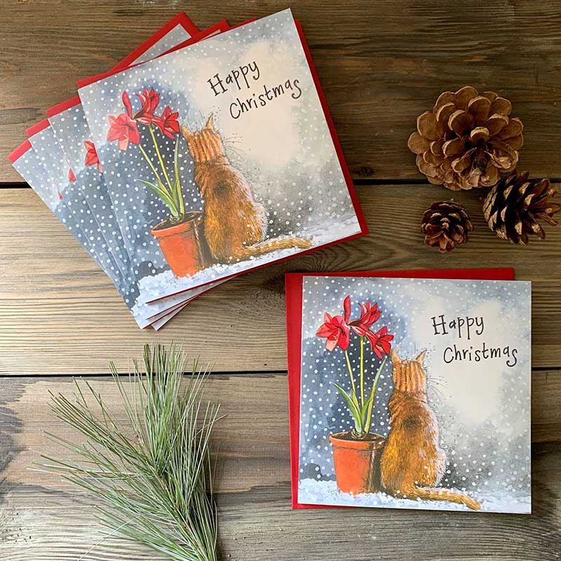 Alex Clark Cat & Amaryllis Christmas Card Pack