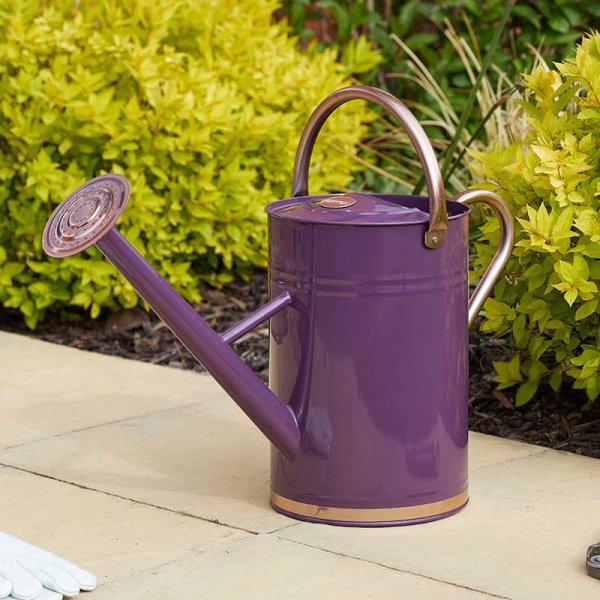 Smart Garden GroZone Violet Watering Can 9L