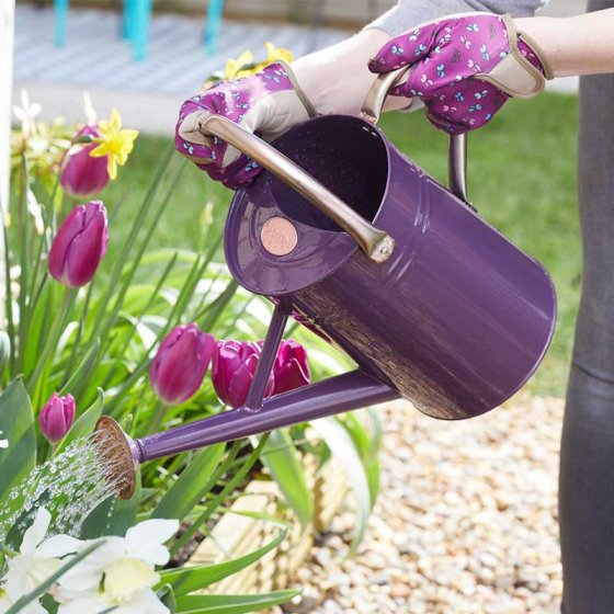 Smart Garden GroZone Violet Watering Can 4.5L