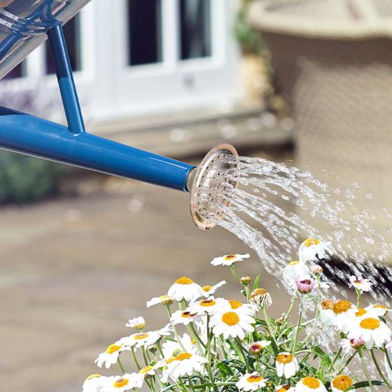Smart Garden Gro-Zone Spray Rose for 9L Watering Can