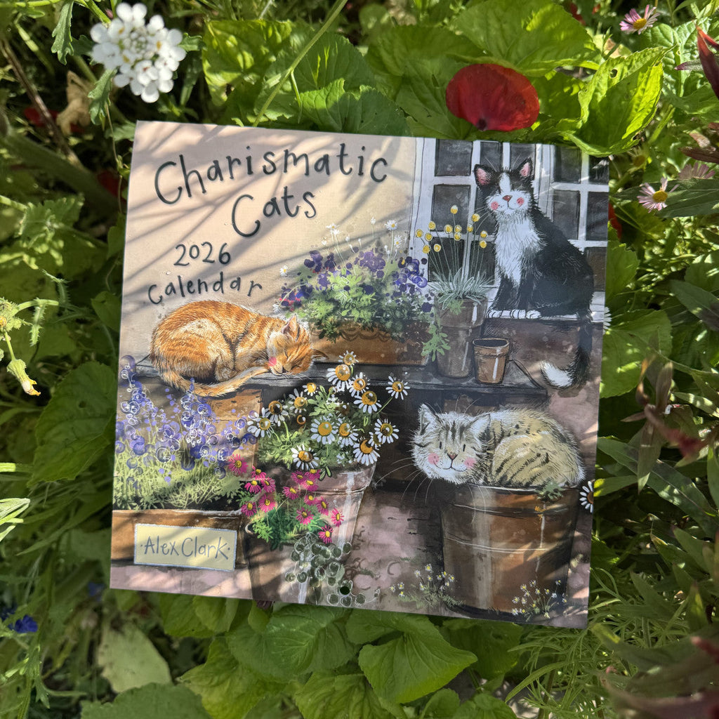 Alex Clark Charismatic Cats Calendar 2026