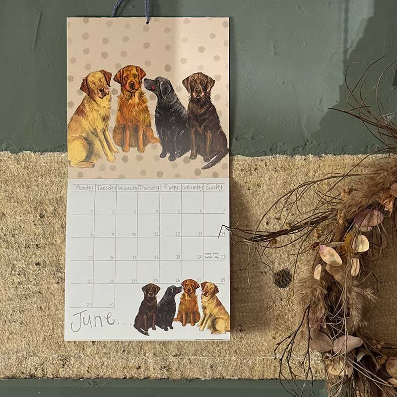 Alex Clark Delightful Dogs Calendar 2026