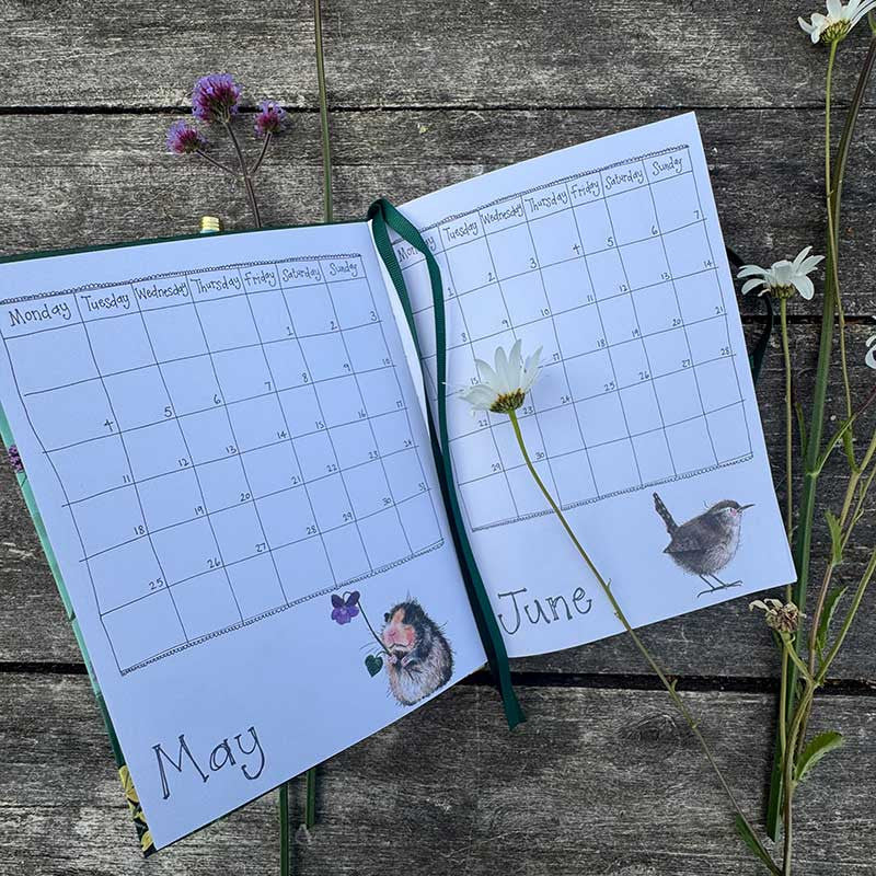 Alex Clark It's the Little Things Desk Diary 2026