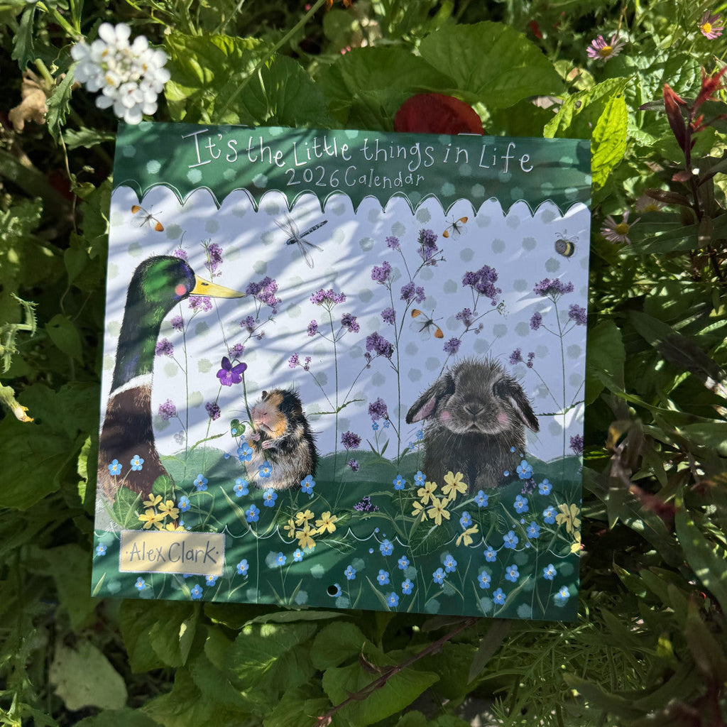 Alex Clark It's The Little things In Life Calendar 2026