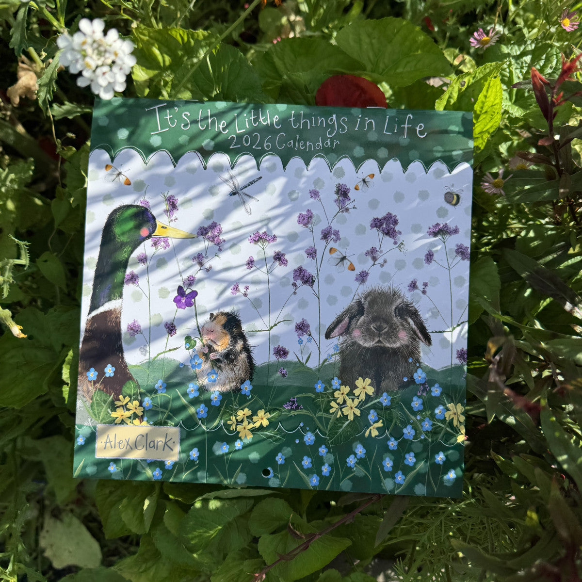 Alex Clark It's The Little things In Life Calendar 2026