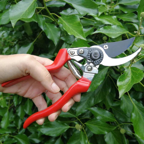 Burgon & Ball RHS Endorsed Left-Handed Bypass Secateurs