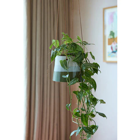 Burgon & Ball Blue/Green Collector Hanging Pot