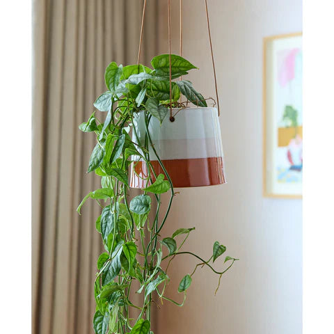 Burgon & Ball Terracotta/Blush Collector Hanging Pot