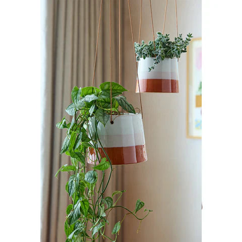 Burgon & Ball Terracotta/Blush Collector Hanging Pot