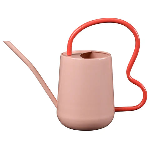 Burgon & Ball Collector Scalloped Indoor Watering Can - Blush