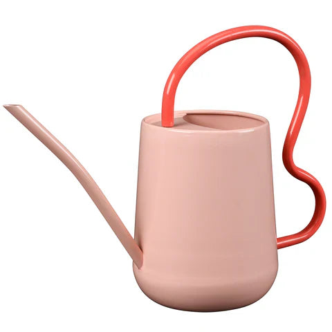 Burgon & Ball Collector Scalloped Indoor Watering Can - Blush