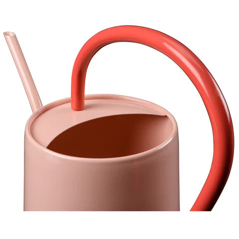 Burgon & Ball Collector Scalloped Indoor Watering Can - Blush