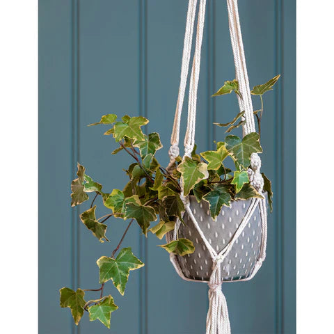 Burgon & Ball Macrame Hanging Pot