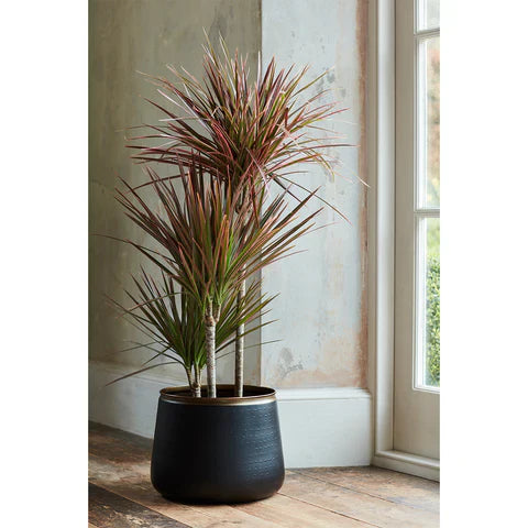 Burgon & Ball Sahara Sunset Metal Floor Pot