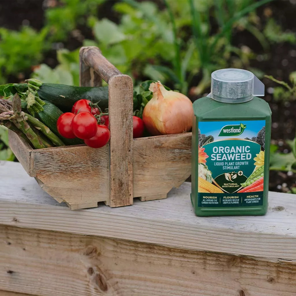 Westland Organic Seaweed Liquid Plant Food 1L