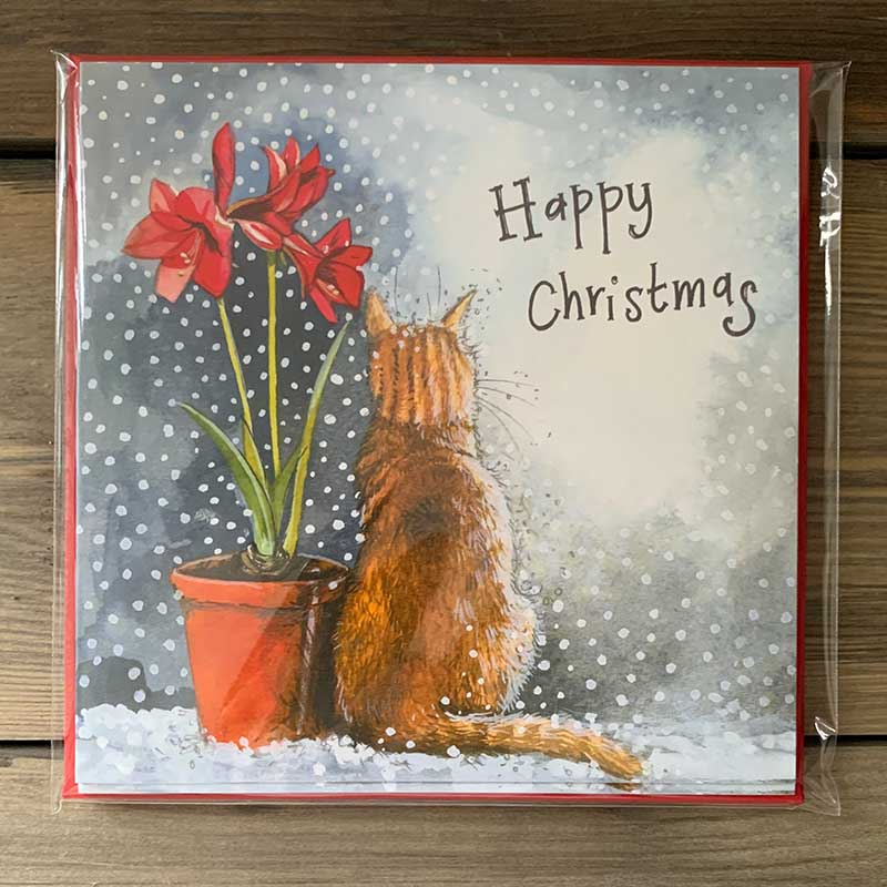 Alex Clark Cat & Amaryllis Christmas Card Pack