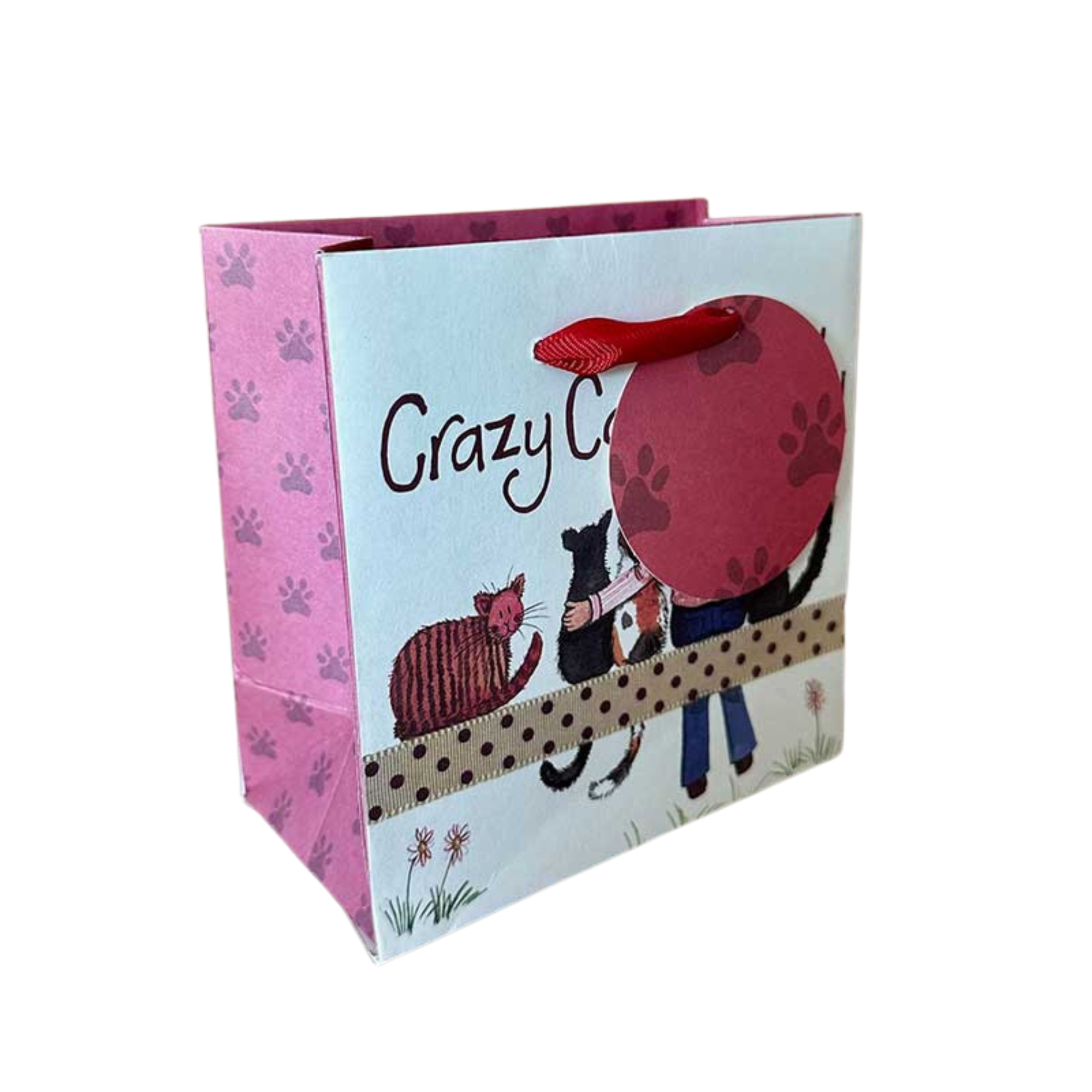 Alex Clark Crazy Cat Lady Gift Bag