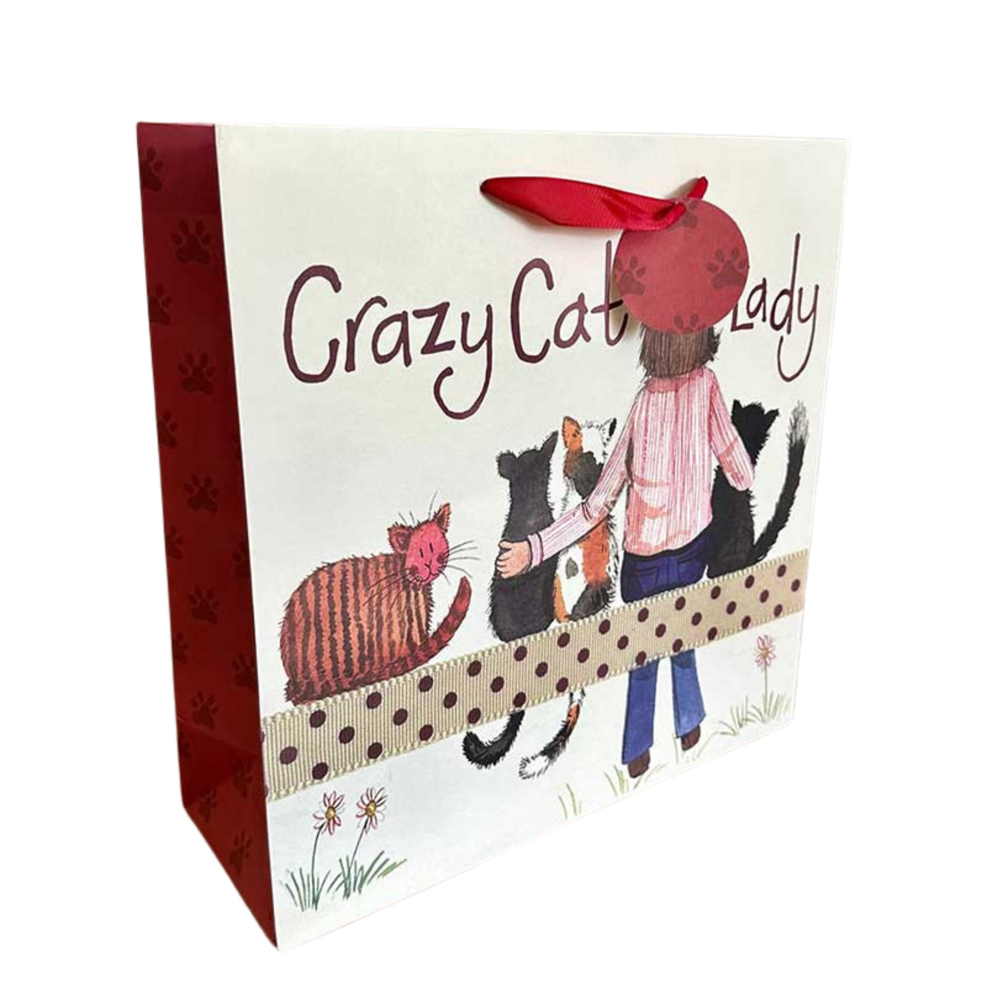 Alex Clark Crazy Cat Lady Gift Bag