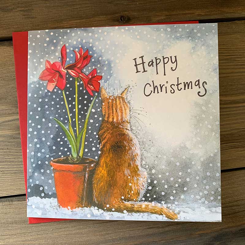 Alex Clark Cat & Amaryllis Christmas Card Pack