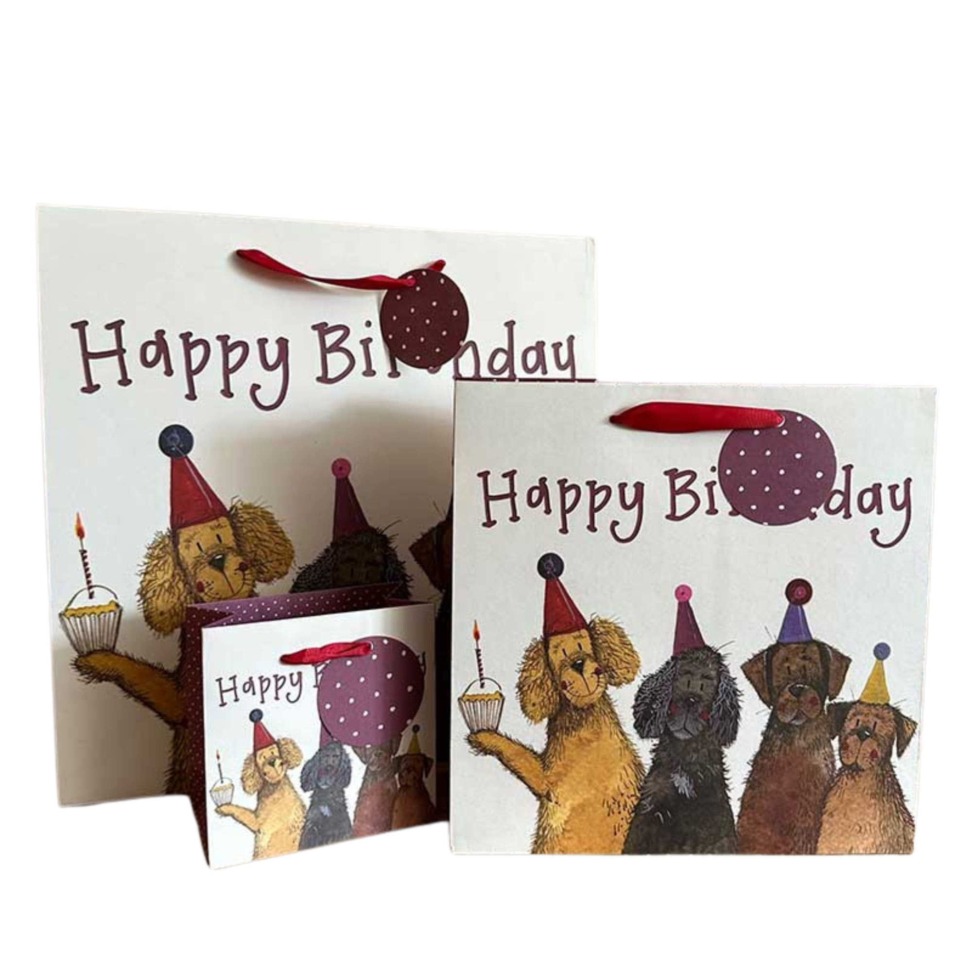 Alex Clark From The Dog Gift Bag