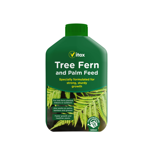 Vitax Tree Fern and Palm Feed 500ml